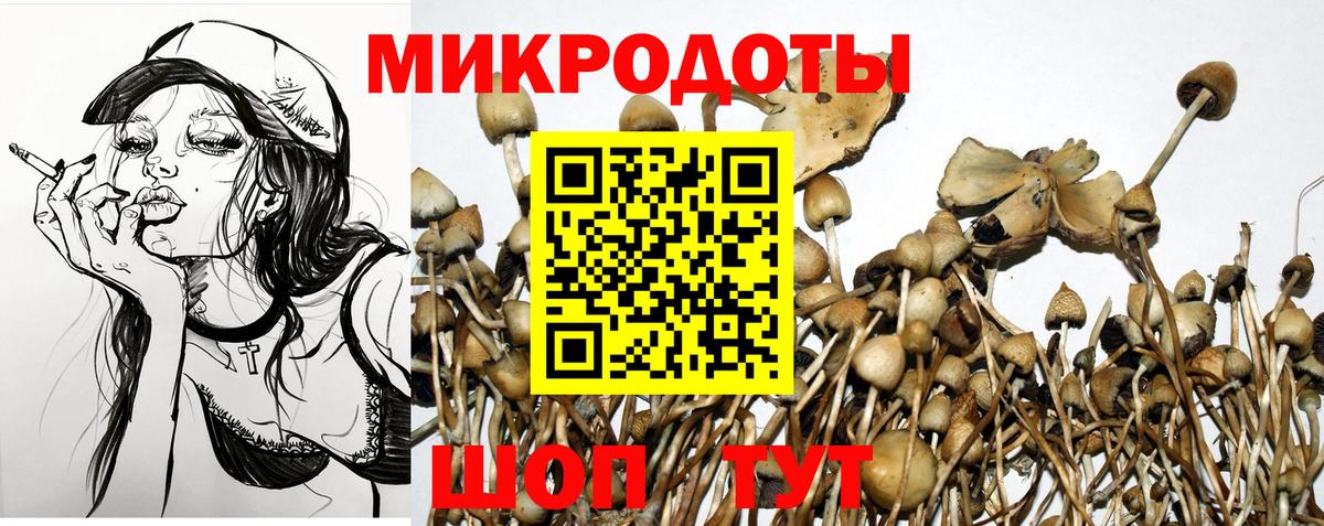Галлюциногенные грибы Cubensis  Вход с VPN  как найти закладки  Лениногорск 